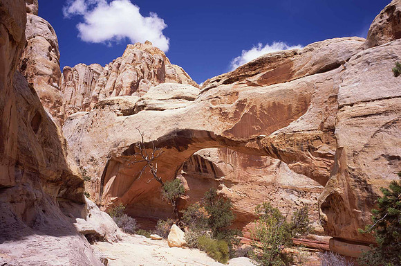 Hickman Bridge, Capitol Reef National Park, UT.