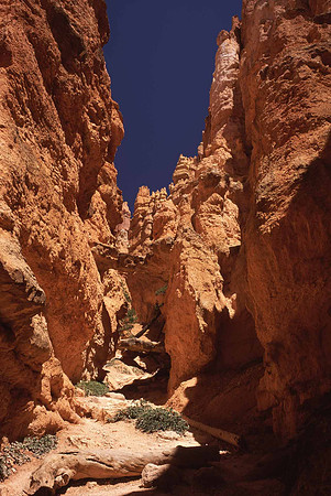 Twin Bridges, Queen's Garden Trail, Bryce Canyon National Park, UT.