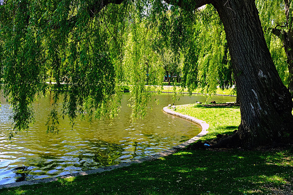 Boston Common, Boston, MA