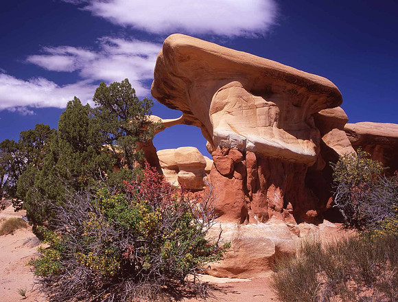 Devil's Garden, Escalante-Grand Staircase, UT.