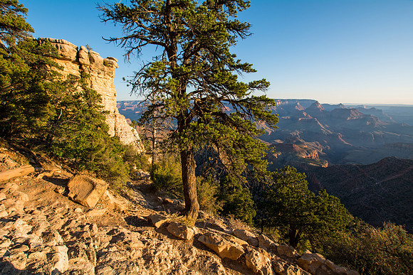 Grandview Point sunrise, Grand Canyon, AZ