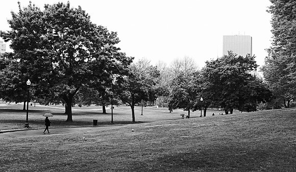 Boston Common, Boston, MA
