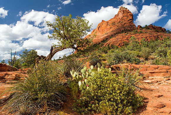 Soldier Pass, Sedona, AZ.
