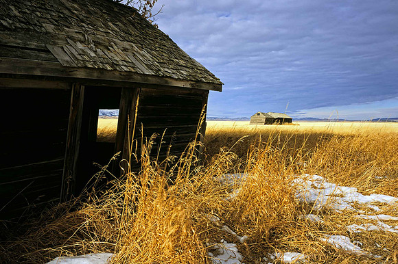 Abandoned Cabin, Pincher Creek, AB.
