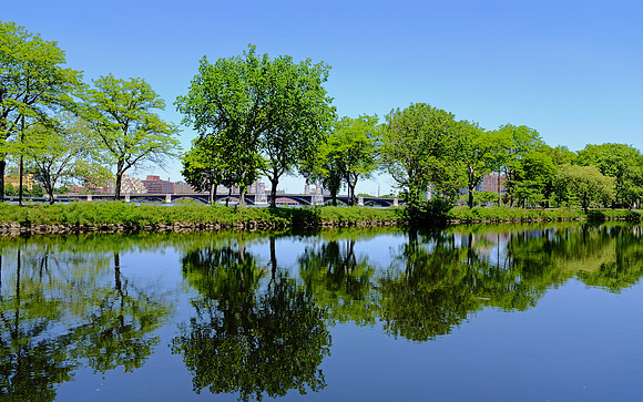 Charles River Esplanade, Boston, MA