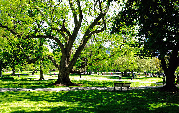 Boston Common, Boston, MA