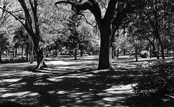 Forsyth Park, Savannah, GA