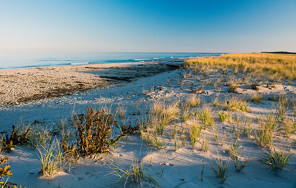 Nauset Beach, Cape Cod, MA.