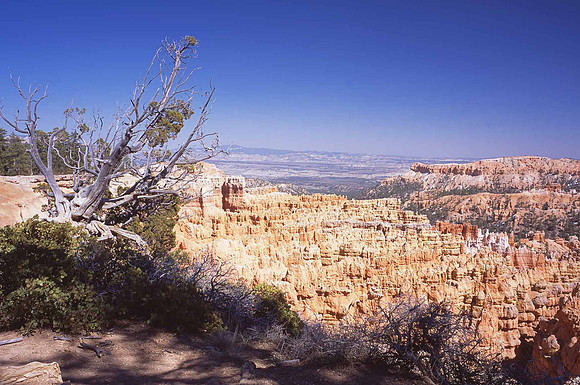 Rim Trail, Bryce Canyon National Park, UT.
